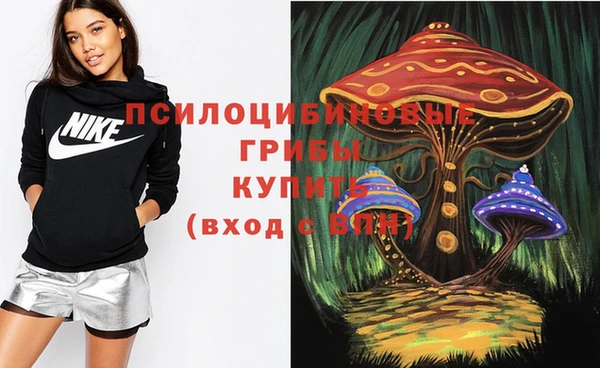 гидропоника Ладушкин