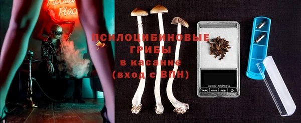 ПСИЛОЦИБИНОВЫЕ ГРИБЫ Лагань
