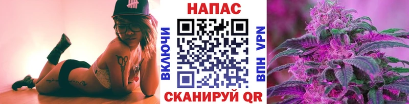 Каннабис OG Kush  Купить  Славгород 